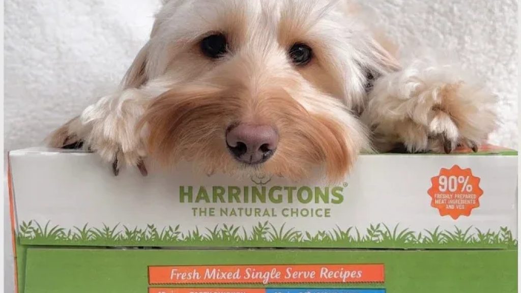 Harringtons Dog