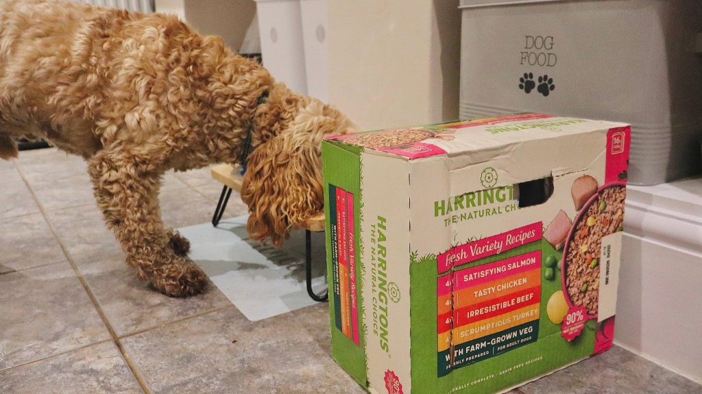 IMG 2551 9ebcbfbe 9d52 4bda 802b ea01078b9f98