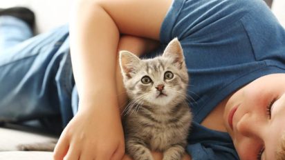 The ultimate checklist for being a successful cat owner