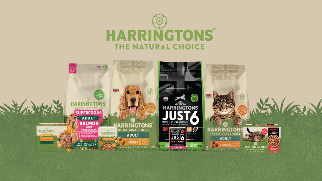 IPN Harringtons Brand Banner