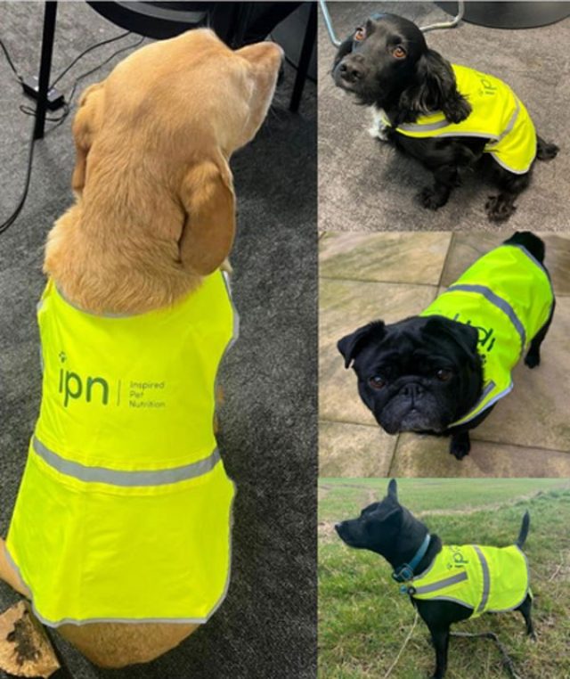 Pet PPE