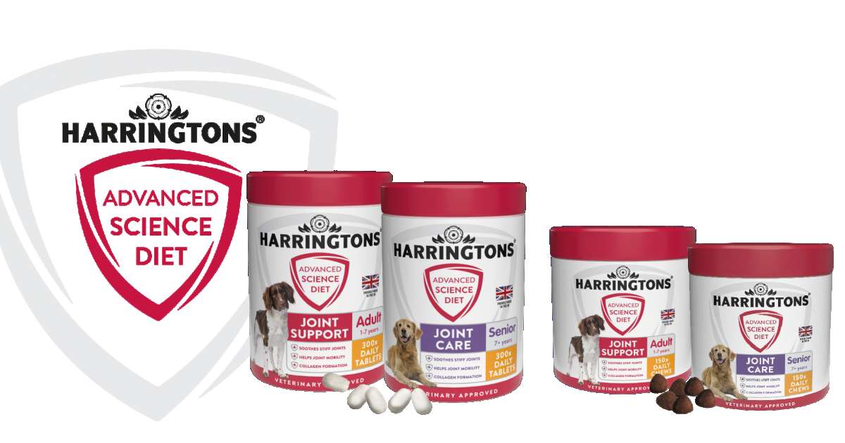 HARRINGTONS LAUNCHES VET ENDORSED ADVANCED SCIENCE DIET SUPPLEMENTS ...