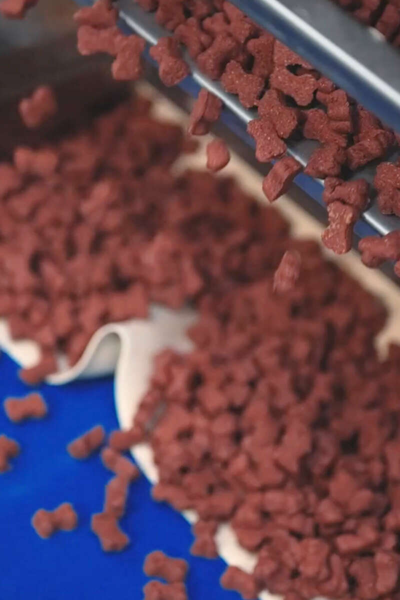 About Inspired Pet Nutrition IPN