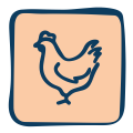 IPN Website chicken Banner assets